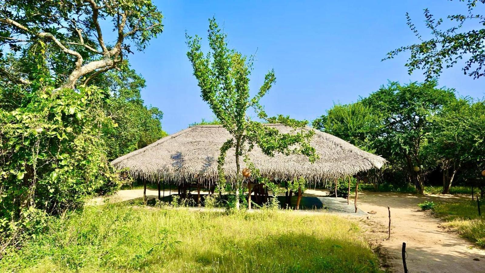 Eden Yala Hotel Exterior foto